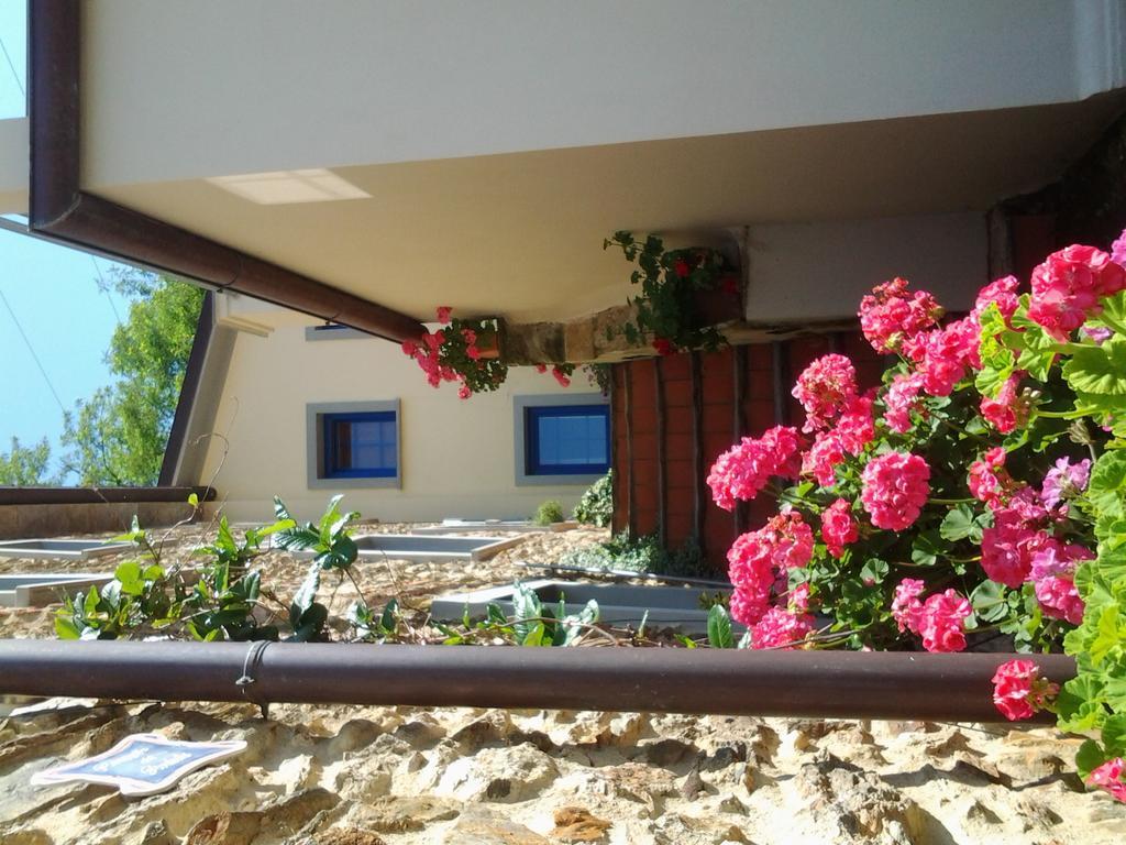 Casa Vacanze Al Settimo Cielo ماسا المظهر الخارجي الصورة